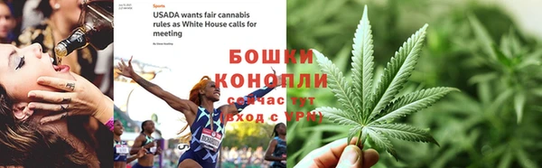 мдпв Осинники