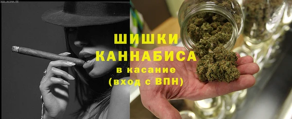 Альфа ПВП Няндома
