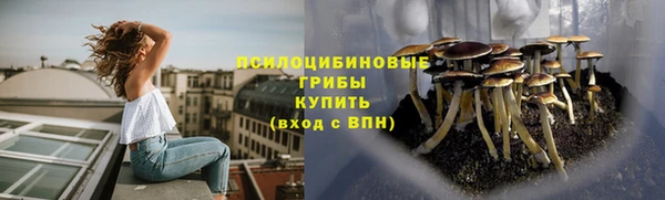 стафф Нягань