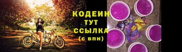 Альфа ПВП Няндома