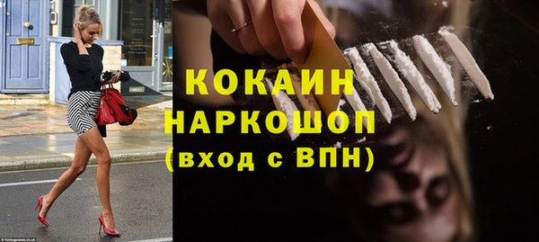 Альфа ПВП Няндома