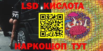 молекула духа Краснокаменск