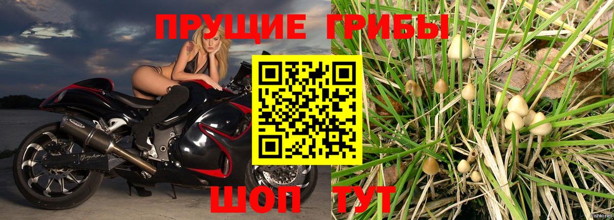 Галлюциногенные грибы мицелий  Галлюциногенные грибы MAGIC MUSHROOMS  Барабинск 