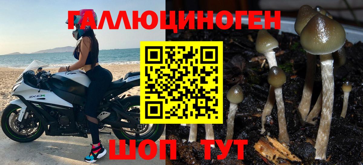 Галлюциногенные грибы Cubensis  Вход с VPN  Барабинск 